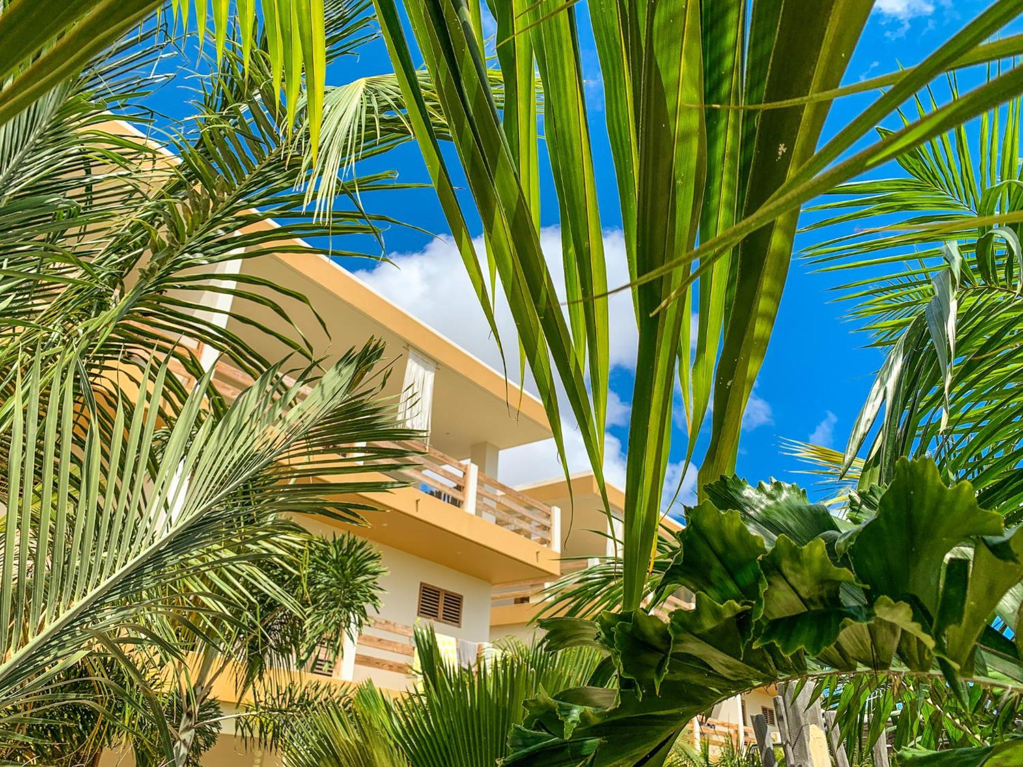 Isla Penthouse & Garden Apartments Bonaire Кралендейк Экстерьер фото