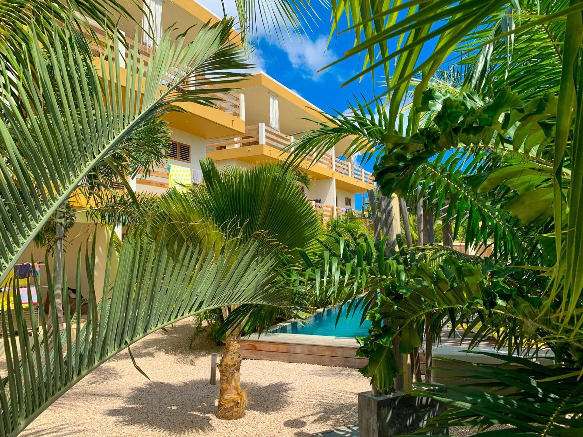 Isla Penthouse & Garden Apartments Bonaire Кралендейк Экстерьер фото
