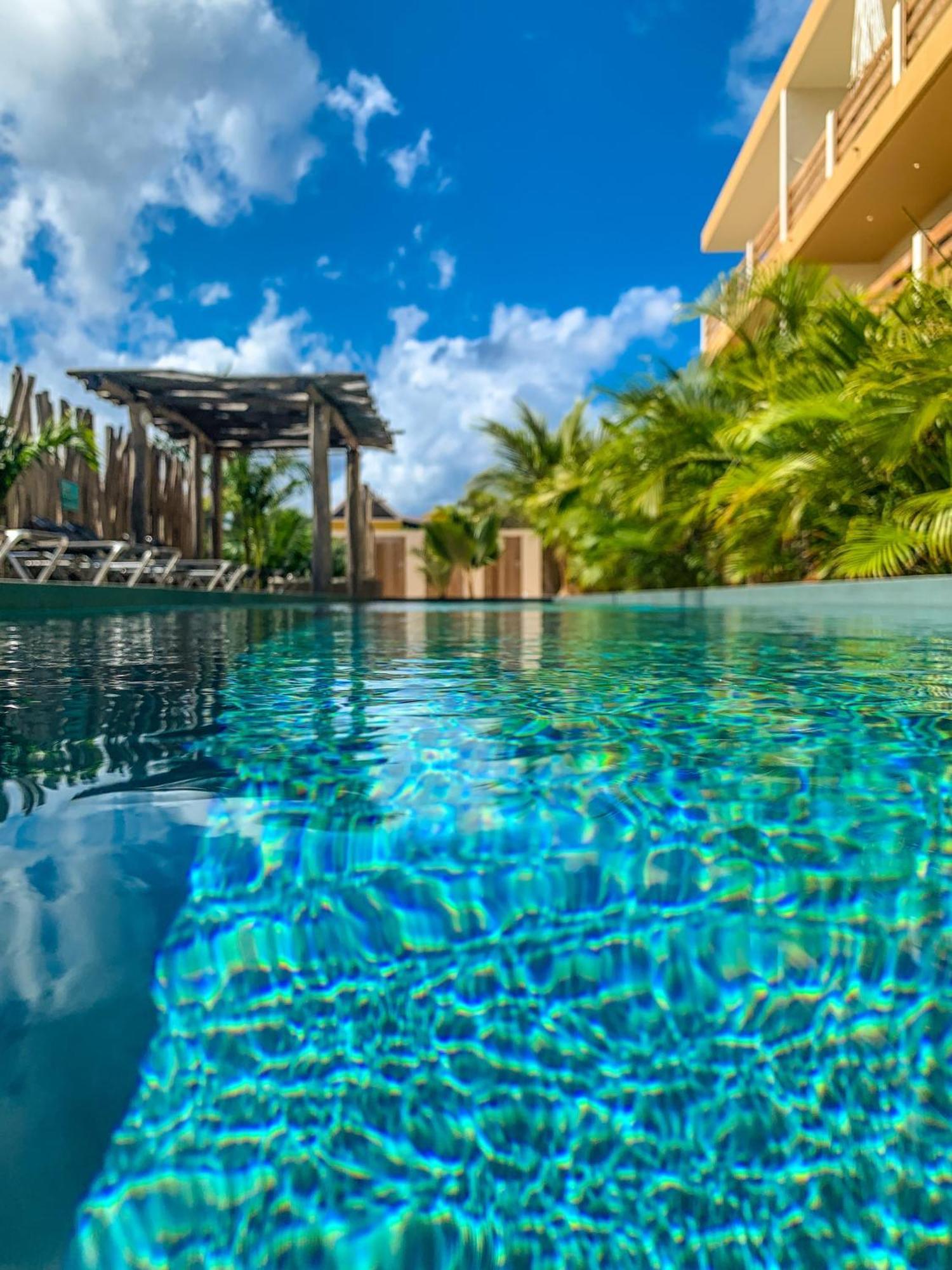 Isla Penthouse & Garden Apartments Bonaire Кралендейк Экстерьер фото