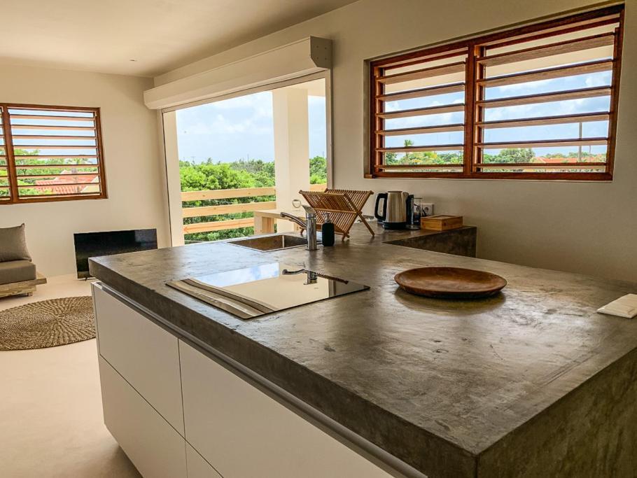 Isla Penthouse & Garden Apartments Bonaire Кралендейк Экстерьер фото